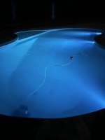 IMG_3364.jpeg IMG_3364.jpeg