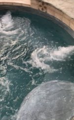 IMG_5126.jpeg