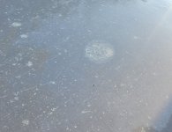 20231102_092024.jpg 20231102_092024.jpg