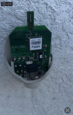 IMG_4675.jpeg