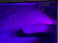 IMG_9870.jpeg