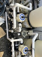 IMG_2158.jpeg