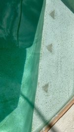 IMG_3463.jpeg