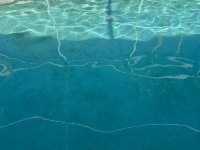 IMG_0687.jpeg