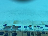 IMG_7221.jpg