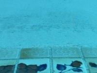 IMG_7225.jpg