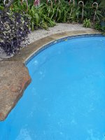 IMG_1329.jpeg