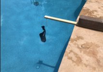 IMG_8615.jpeg