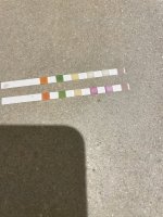 IMG_8205.jpeg