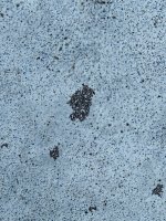 IMG_5686.jpeg