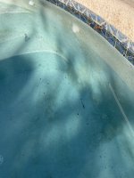 IMG_4329.jpeg