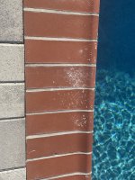 IMG_4790.jpeg