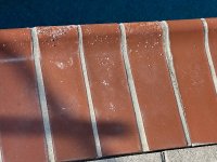 IMG_4791.jpeg