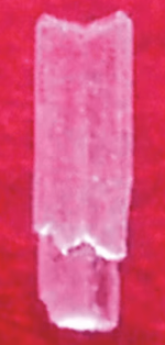 1706230535118.png