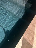 IMG_8178.jpeg