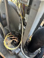 IMG_1048.jpeg