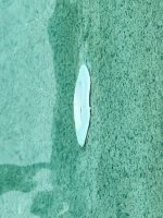 IMG_3482.jpeg IMG_3482.jpeg
