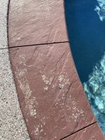 IMG_7666.jpeg