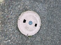 IMG_6618.jpeg