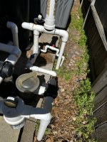 IMG_1100.jpeg