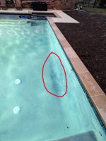 pool 5.jpg