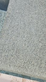 20240314_164054.jpg