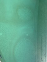 IMG_1675.jpeg