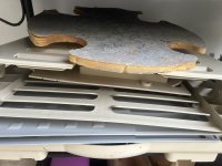 IMG_6200.jpeg