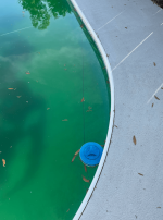 1710424369709blob.png 1710424369709blob.png
