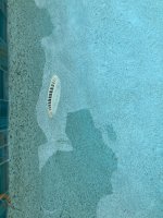 IMG_4228.jpeg