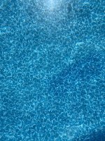 IMG_2573.jpeg IMG_2573.jpeg