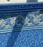 IMG_2994.jpeg IMG_2994.jpeg