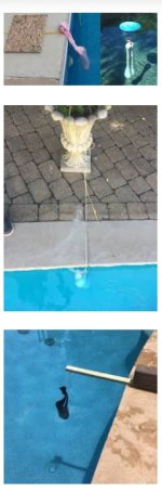 IMG_9434.jpeg