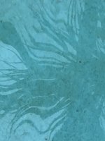 IMG_2138.jpeg