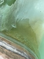 IMG_2234.jpeg IMG_2234.jpeg