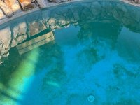 IMG_2356.jpeg