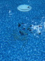IMG_0230.jpeg IMG_0230.jpeg