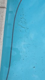 Dirt in Pool2.jpg