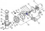 pool motor diagram.JPG