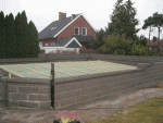 RainIMG_6320.gif