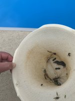 IMG_5011.jpeg