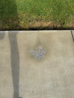 IMG_1145.jpg IMG_1145.jpg