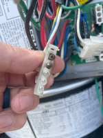 IMG_8321 (Medium).png
