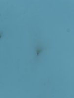 IMG_2728.jpeg