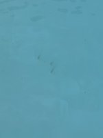IMG_5812.jpeg