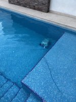 IMG_5547.jpeg