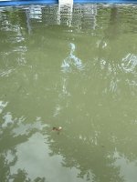 IMG_5049.jpeg