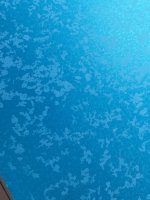 IMG_6558.jpeg