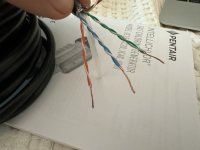 IMG_5575.jpeg