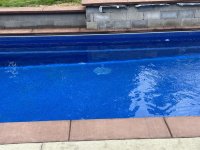 IMG_3099.jpeg